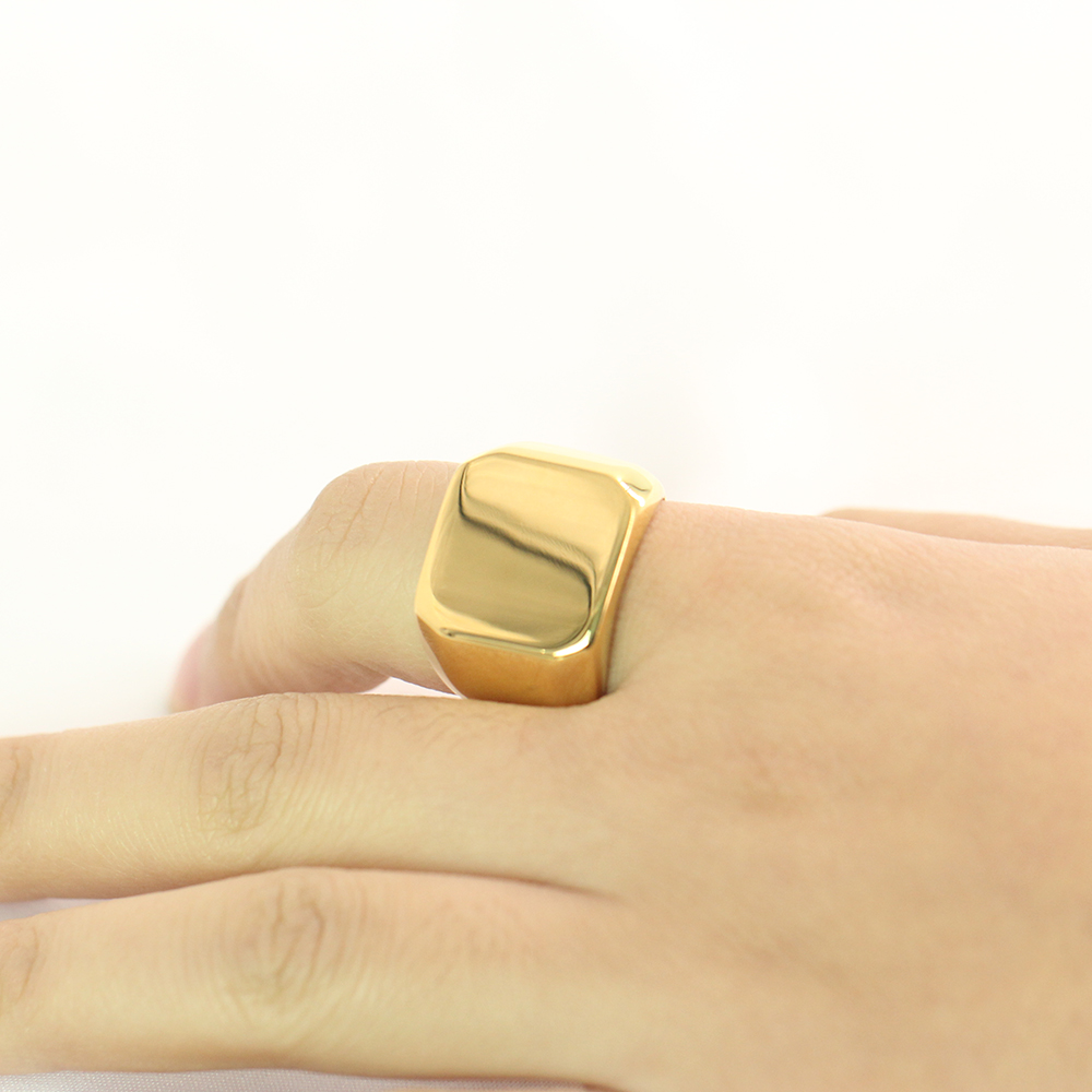نقش مجاني جديد الفضة/الذهب/أسو - مراجعة Mens Signet Ring وسعره